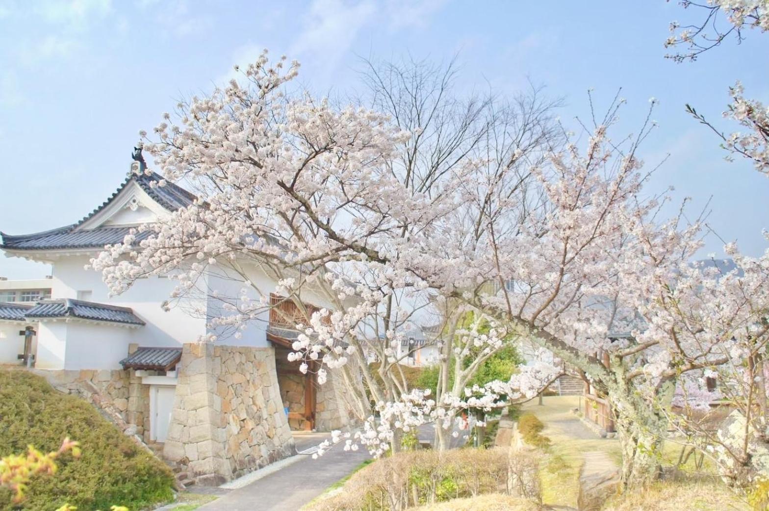 古民家の宿宰嘉庵 Traditionaljapanisehotel Saikaan Maizuru Esterno foto