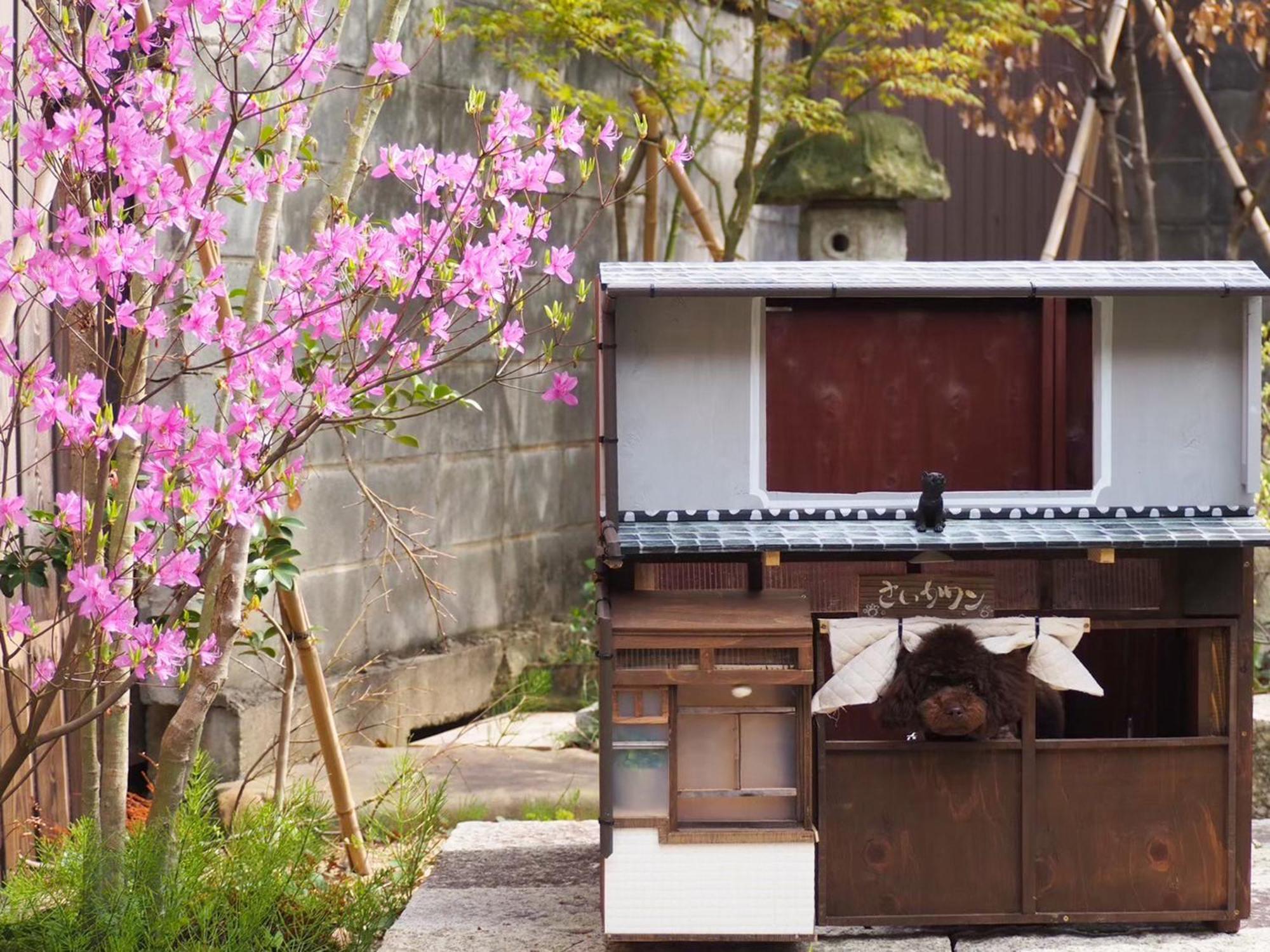 古民家の宿宰嘉庵 Traditionaljapanisehotel Saikaan Maizuru Esterno foto