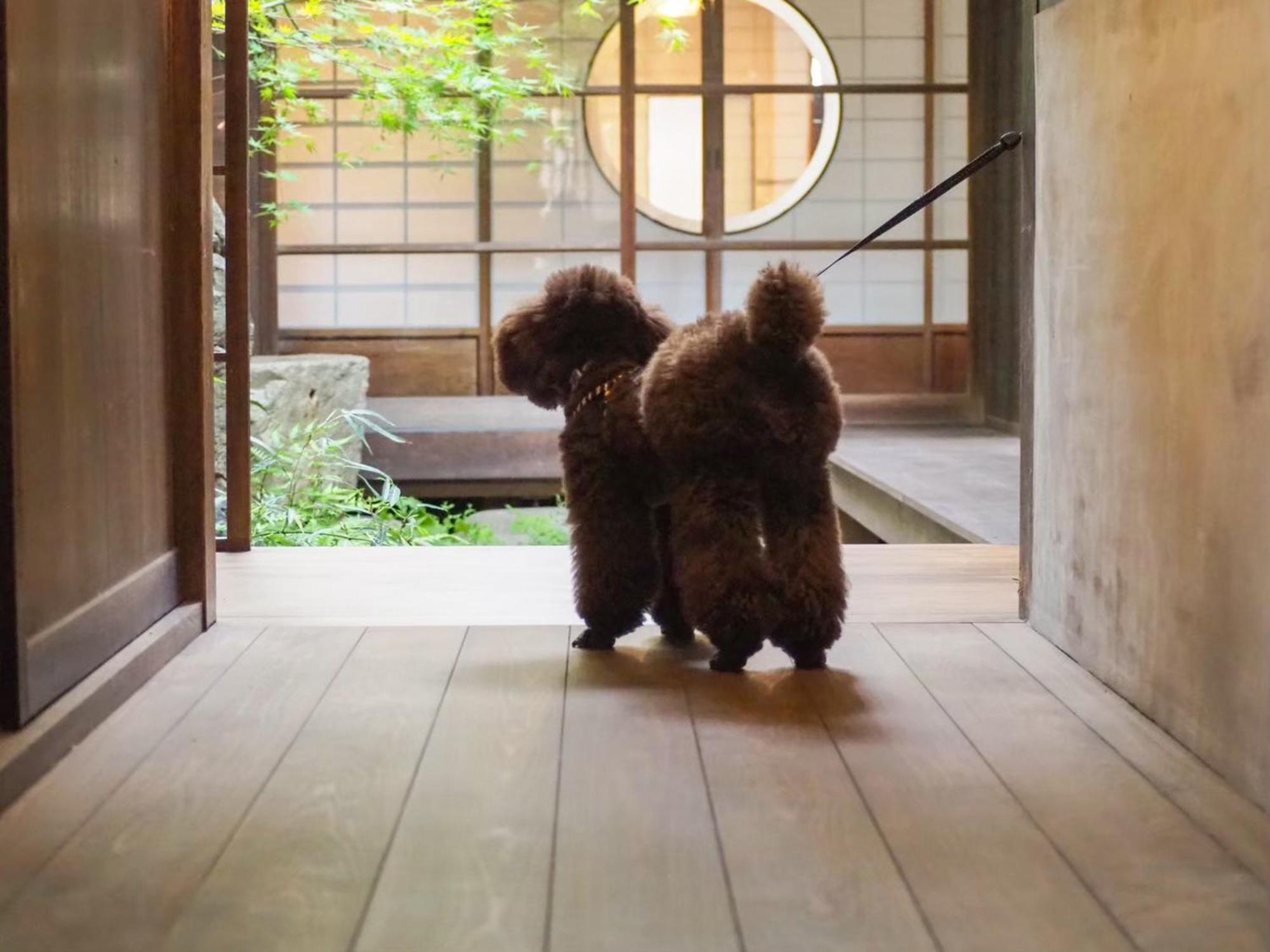 古民家の宿宰嘉庵 Traditionaljapanisehotel Saikaan Maizuru Esterno foto