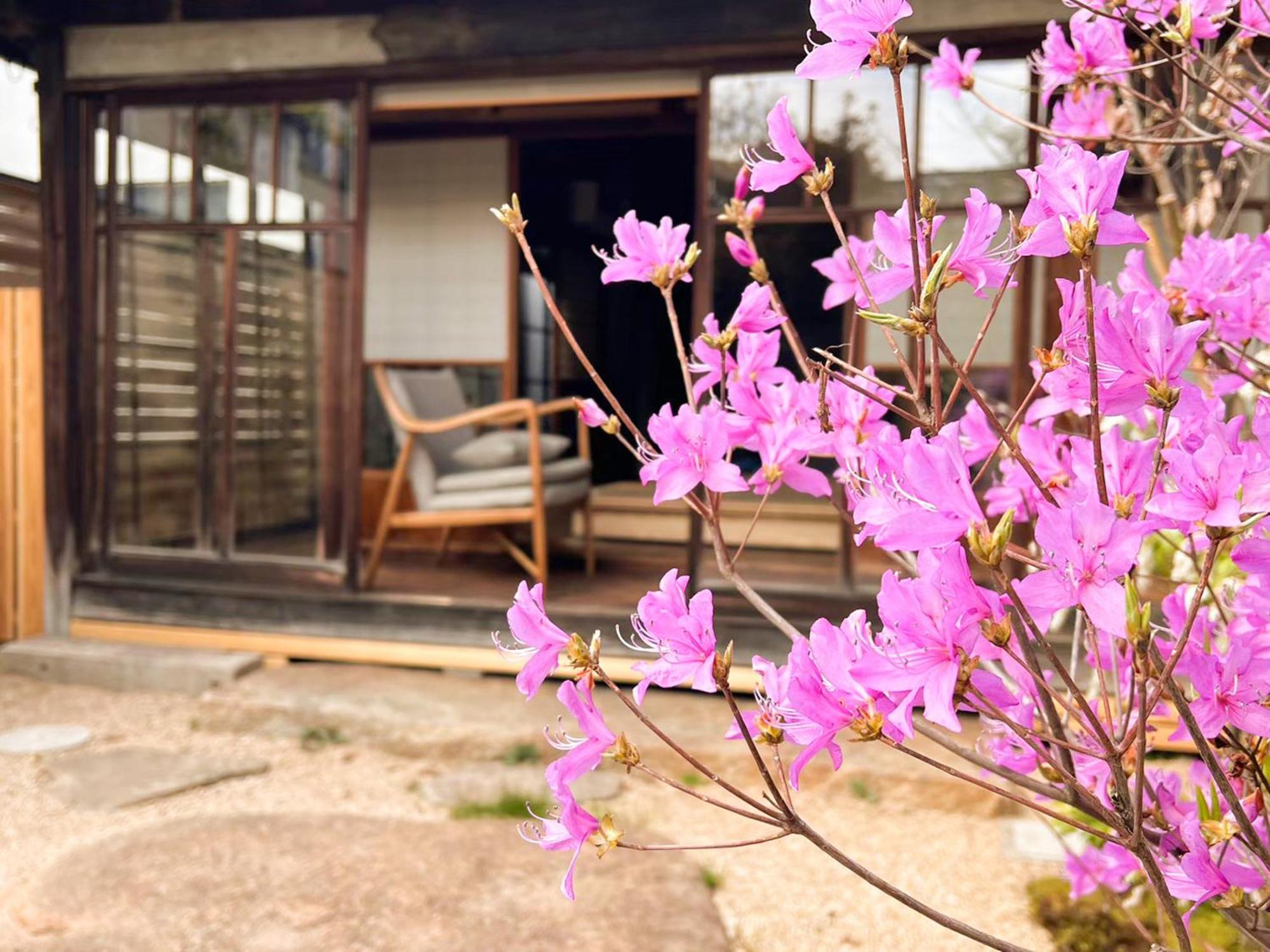 古民家の宿宰嘉庵 Traditionaljapanisehotel Saikaan Maizuru Esterno foto